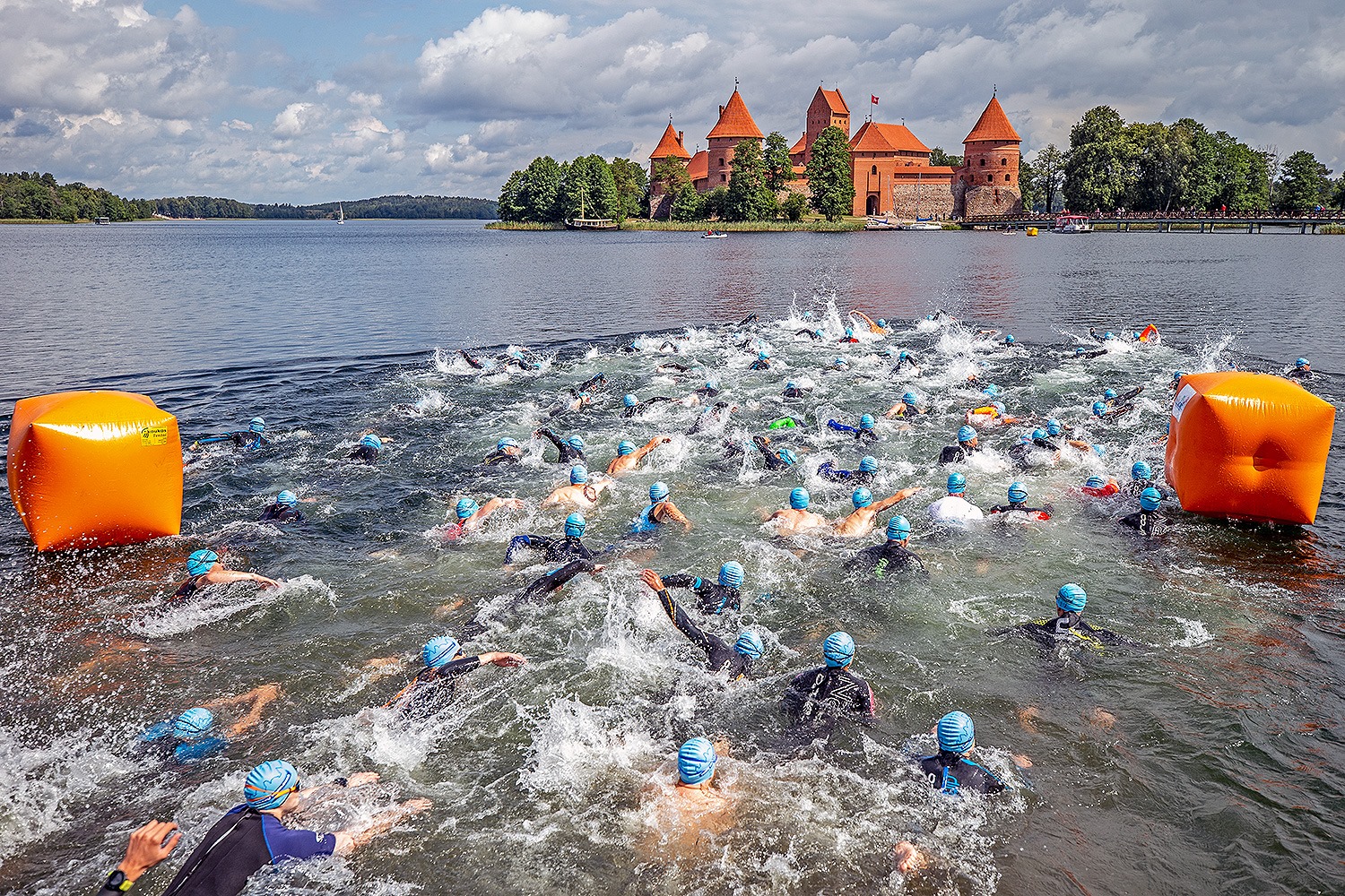 66396432_1456690431139962_70336742376341504_o