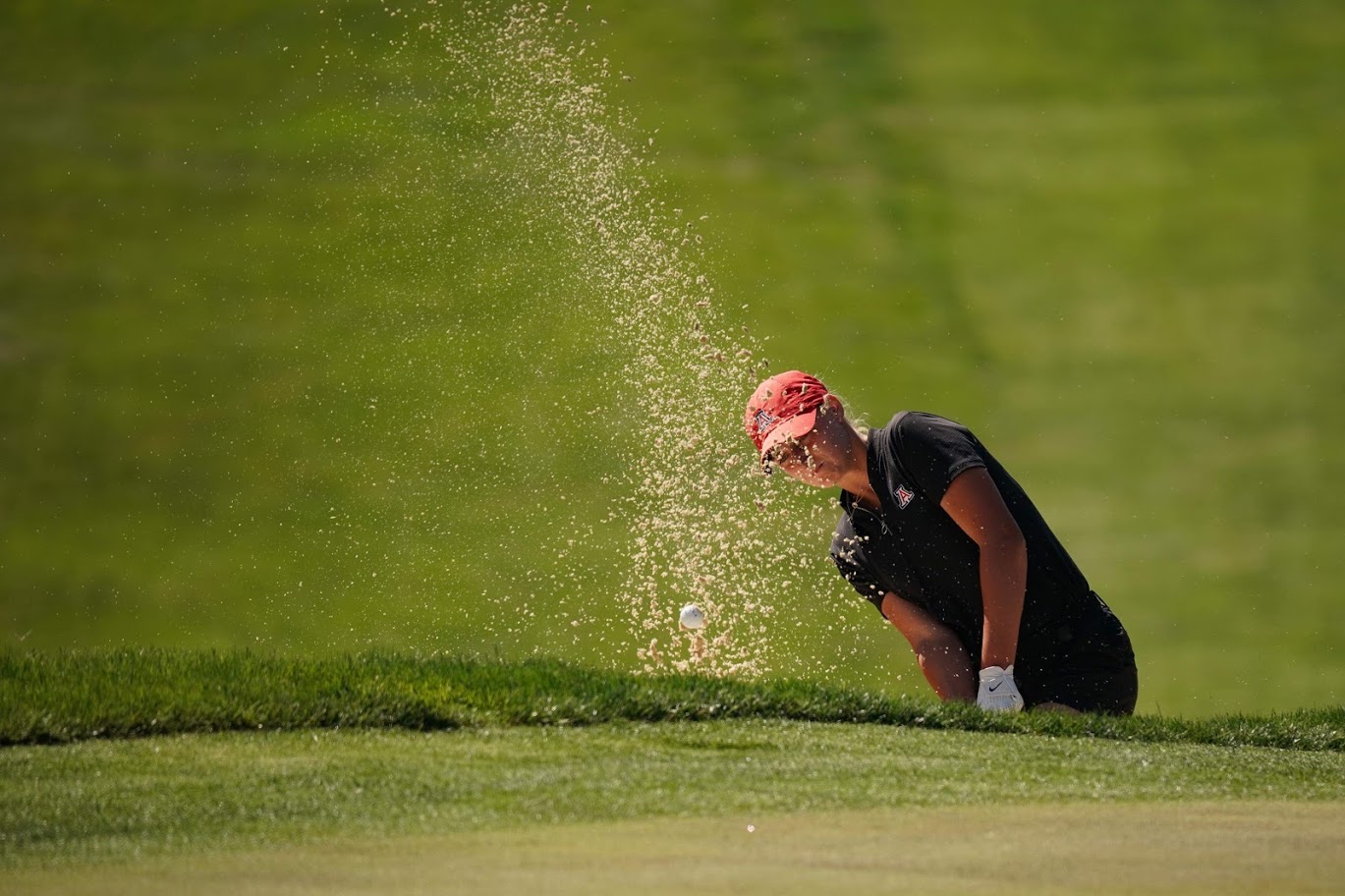 Regionals-2021-Stanford-Gilė-Bitė-Starkutė-10-1