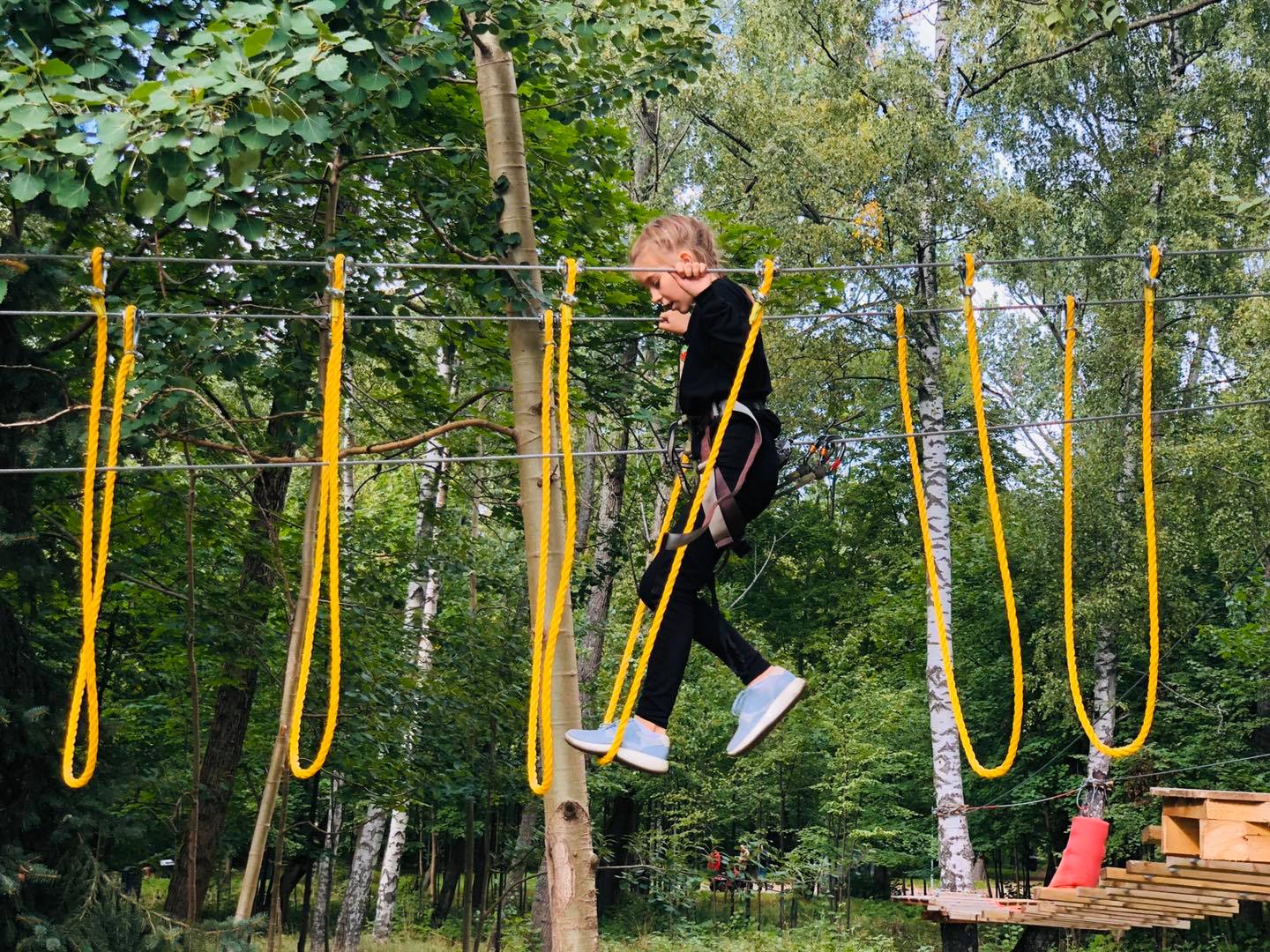 119888163_4375092725896096_2698371398458893299_n