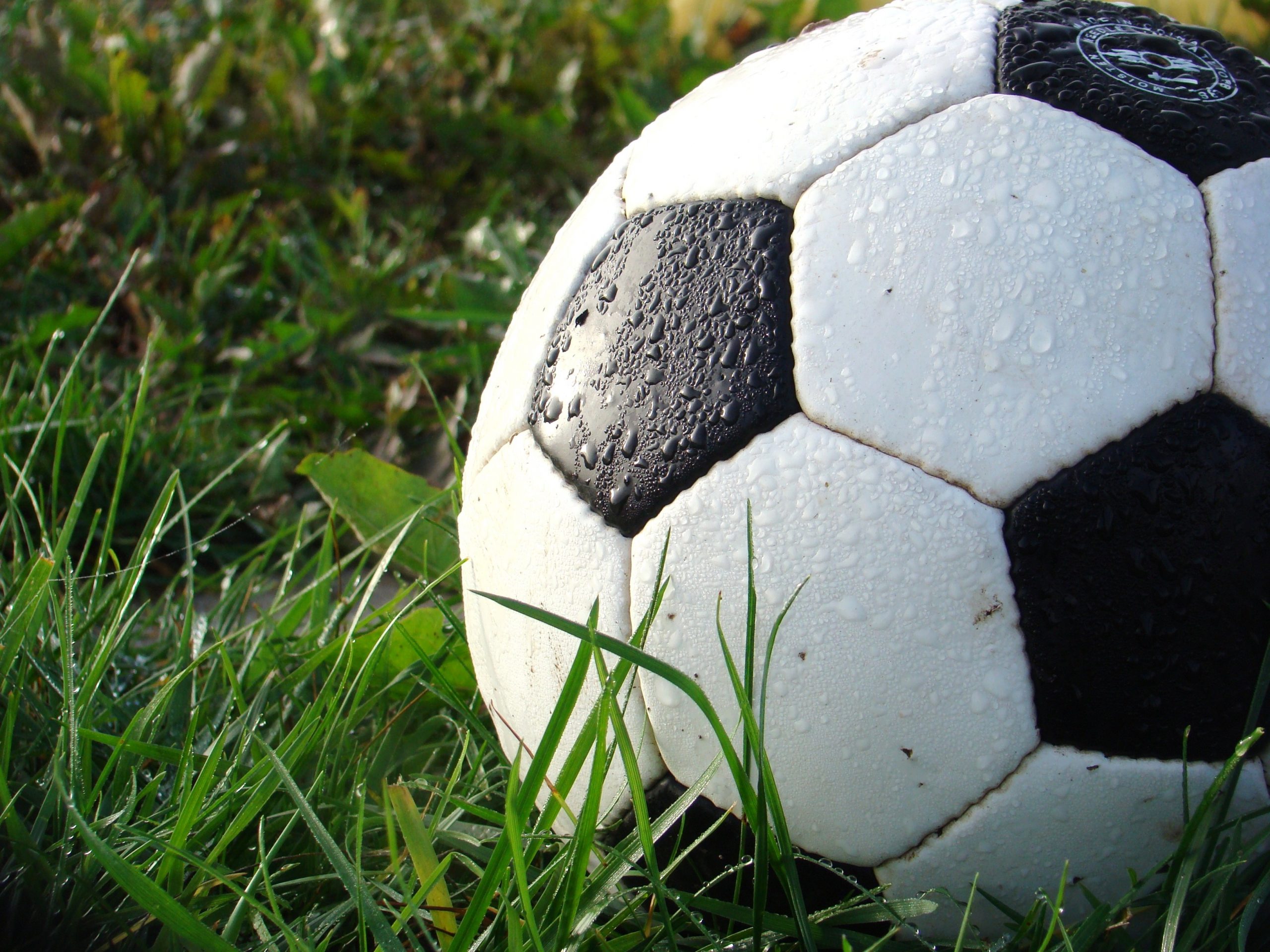grass-sport-game-green-soccer-football-927727-pxhere.com_