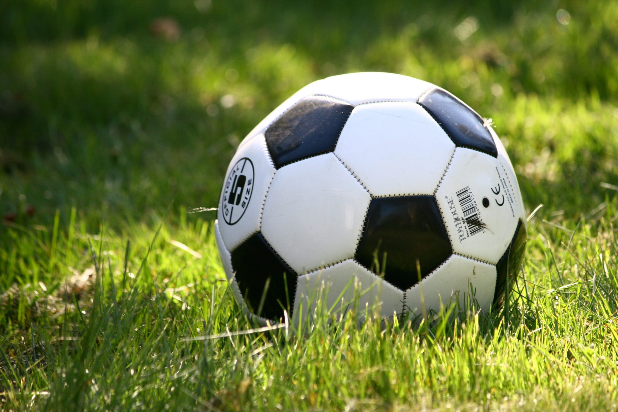 grass-wheel-play-summer-soccer-playing-623521-pxhere.com_