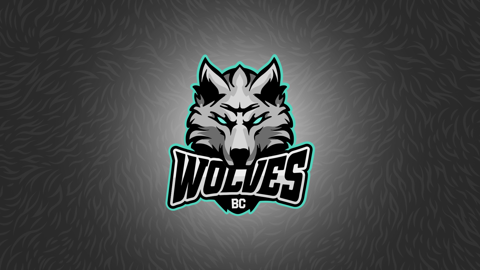 Pagrindine-nuotrauka-BC-Wolves-logotipas