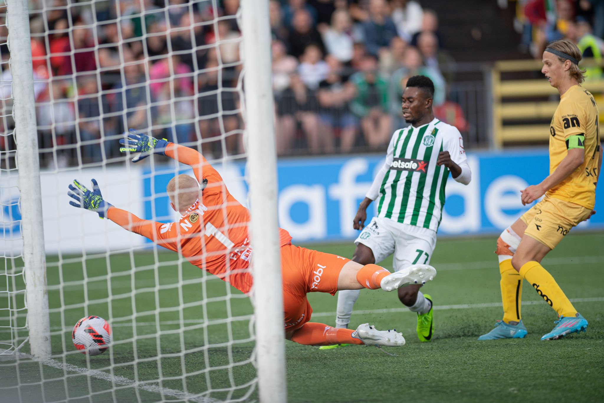 296004338_457285832706478_979179768092811421_n