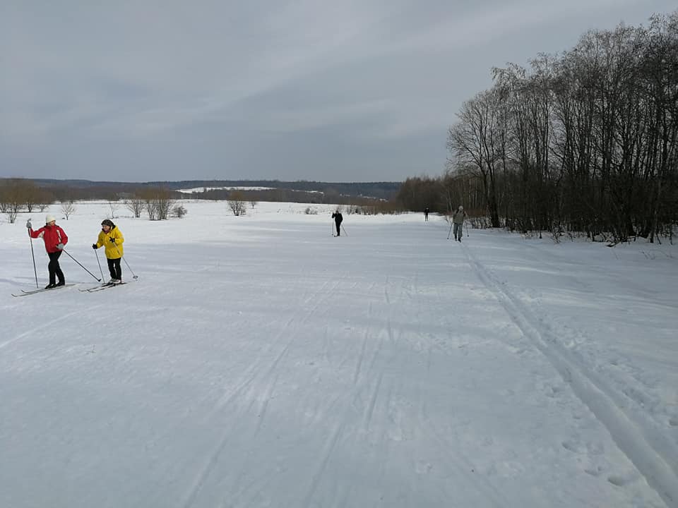 52893221_2734159073268557_503198381284261888_n