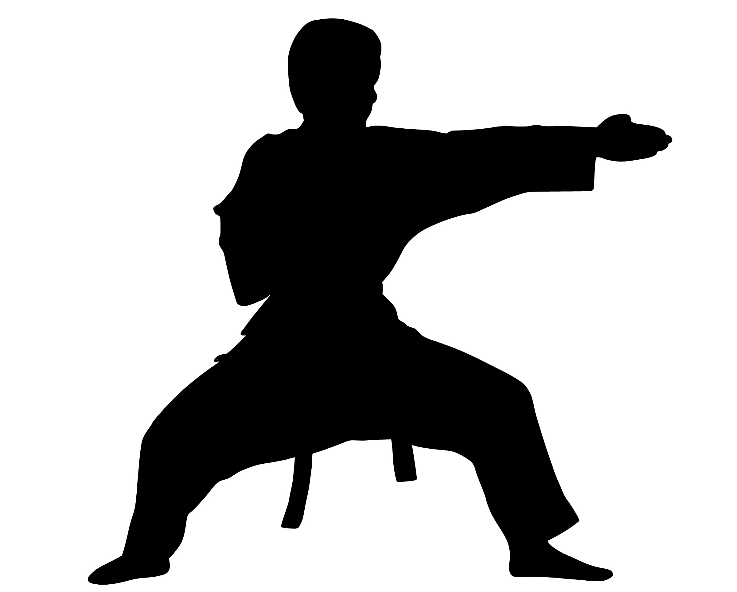 silhouette-karate-fight-strong-kimono-ready-1452111-pxhere.com_