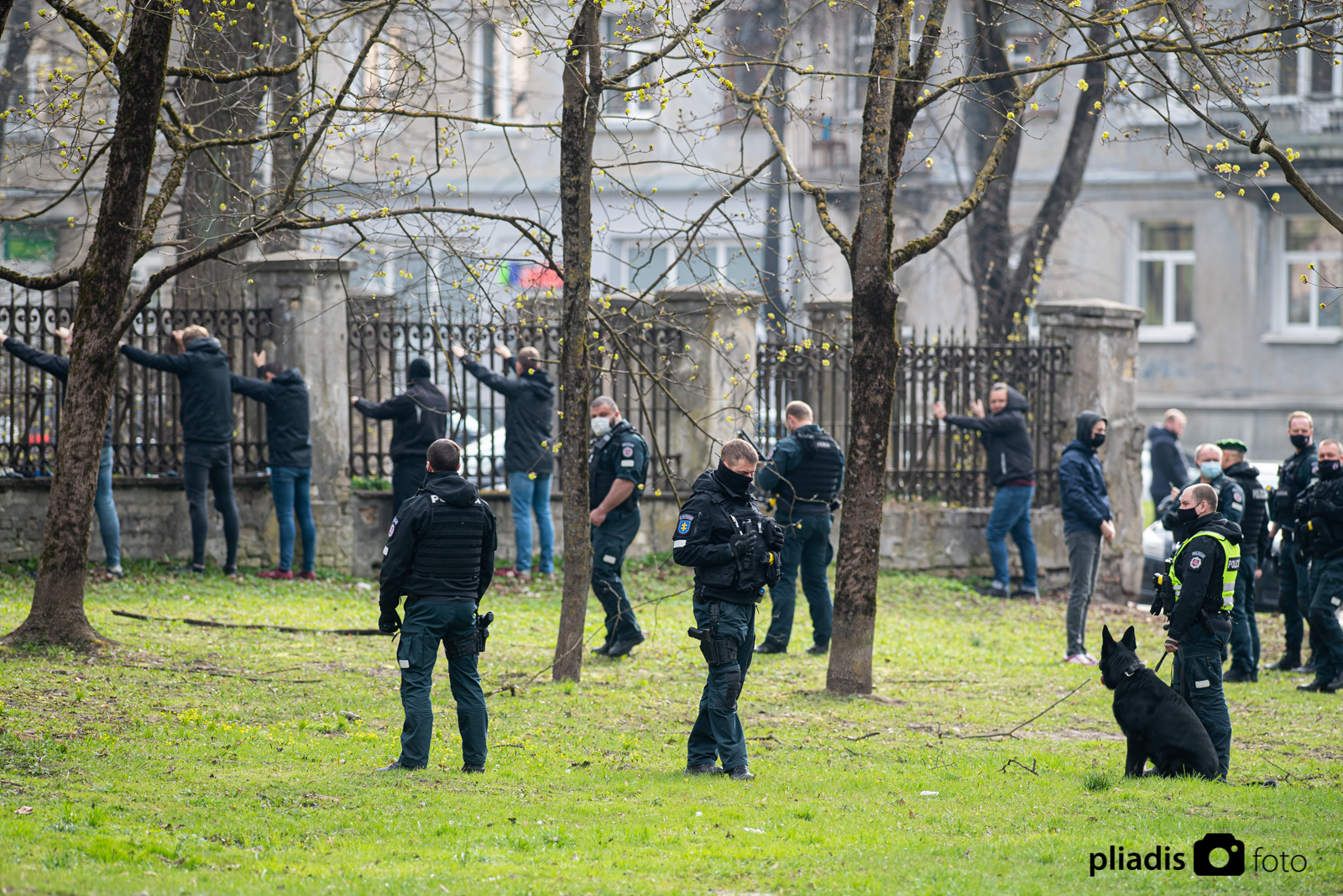 20210430_Alfredas_Pliadis_AL5_4101