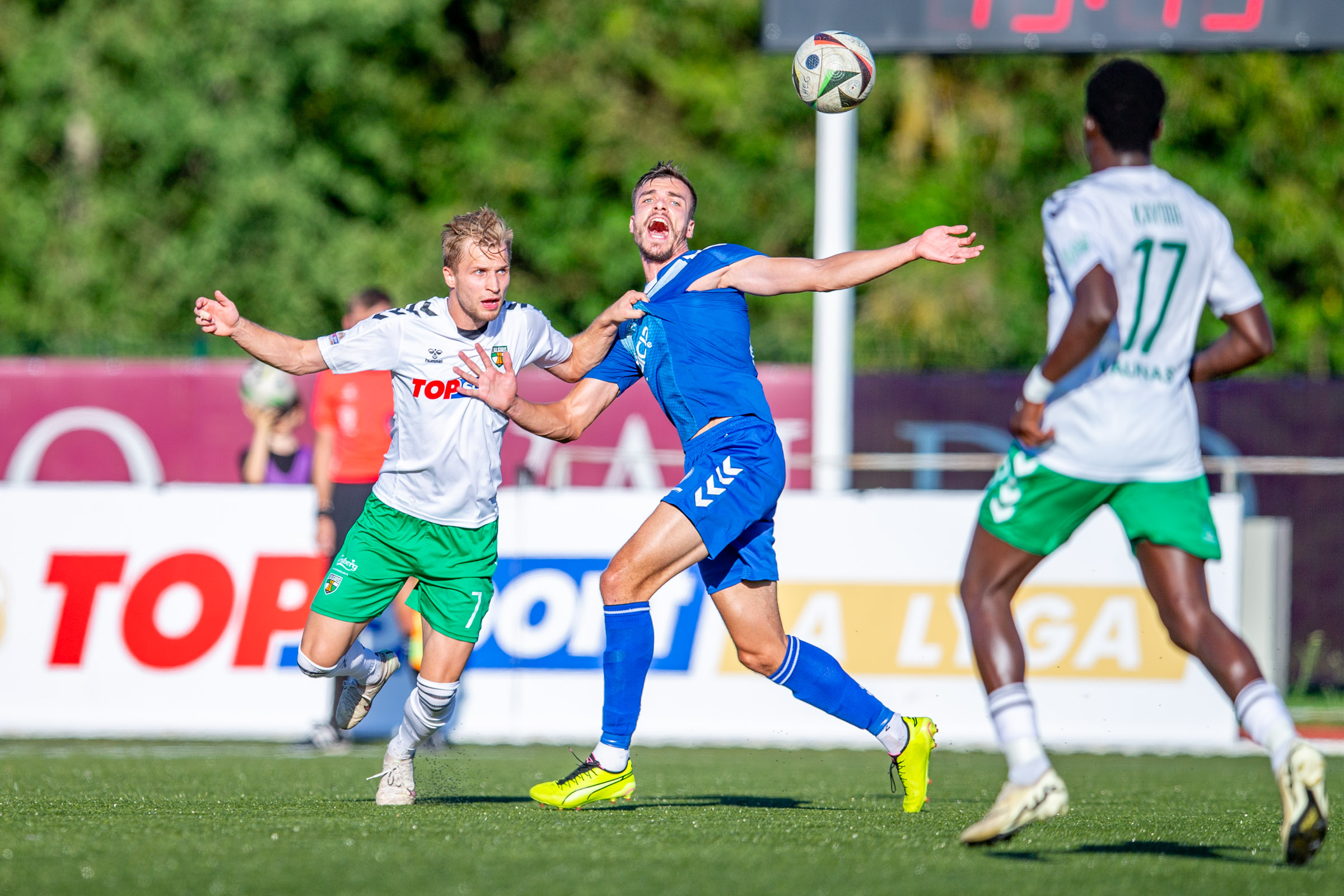 Derbis – 1 kelinys-3