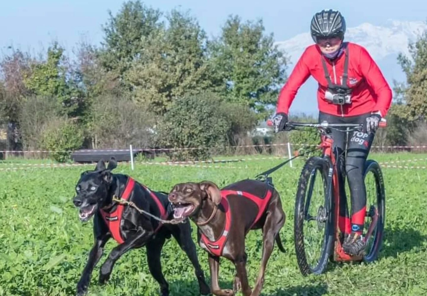 466098928_568803162361394_1563379803568120106_n (1)