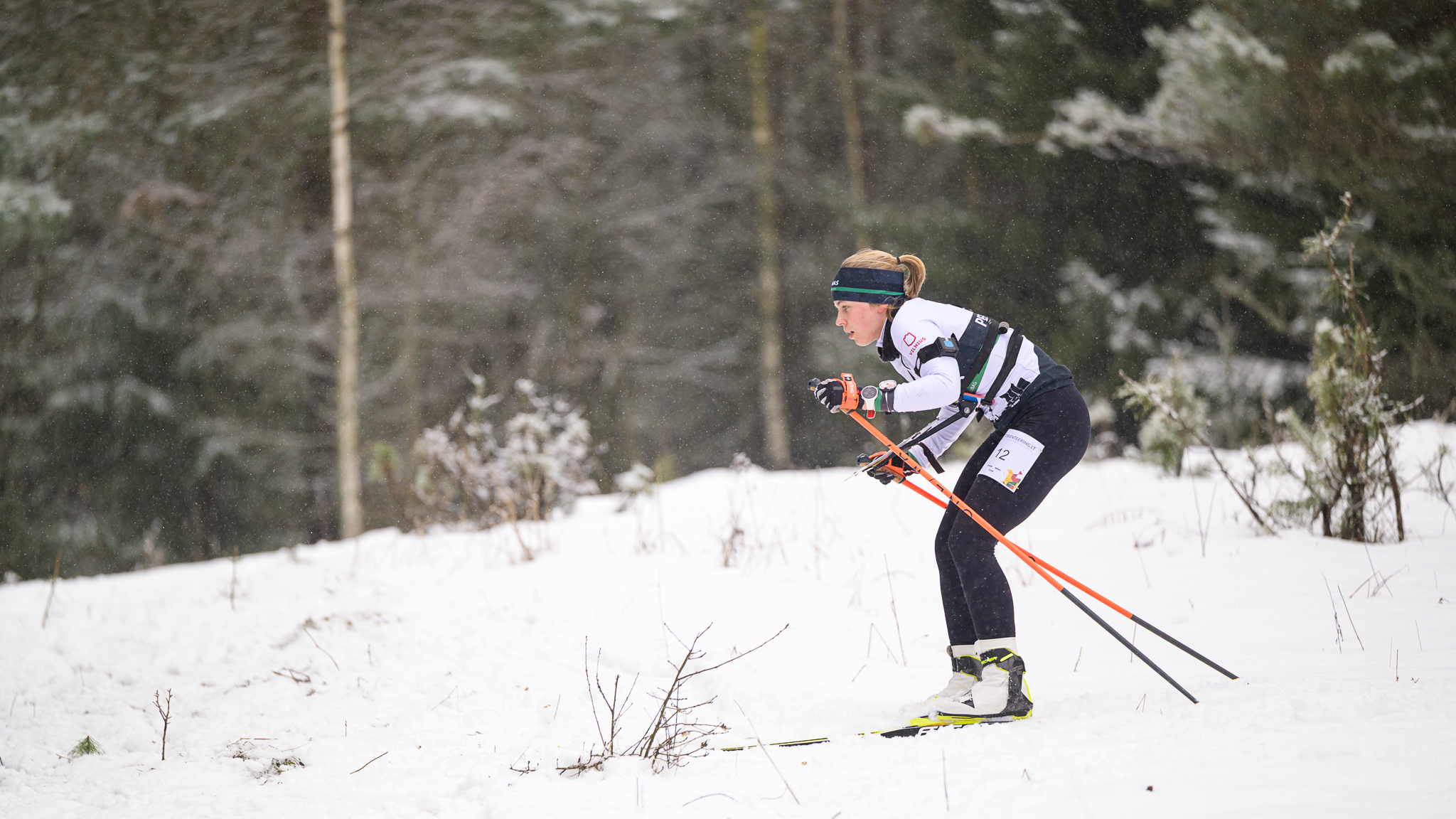 481261449_1259568048863155_4985175462806302336_n